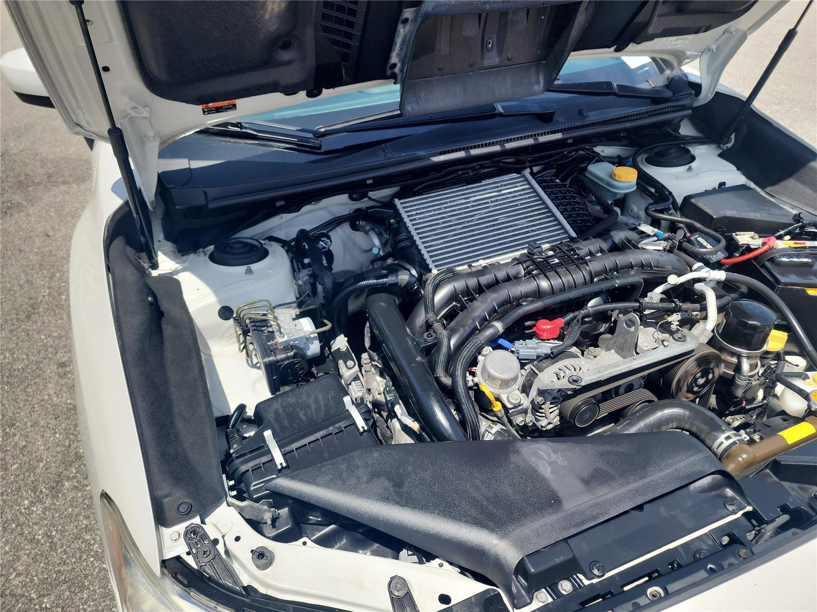 Used 2019 Subaru WRX AWD/4WD image 12