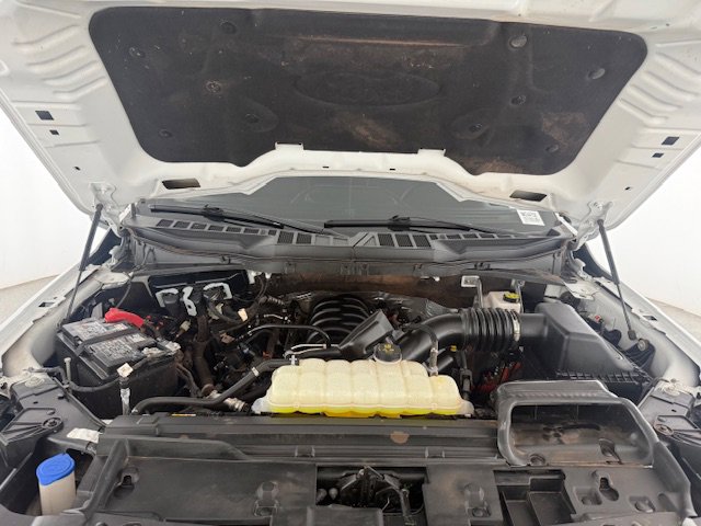 Certified 2025 Ford F150 XLT w/ Equipment Group 301A Standard image 5