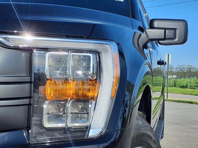 Certified 2023 Ford F150 XLT w/ Equipment Group 302A High image 7