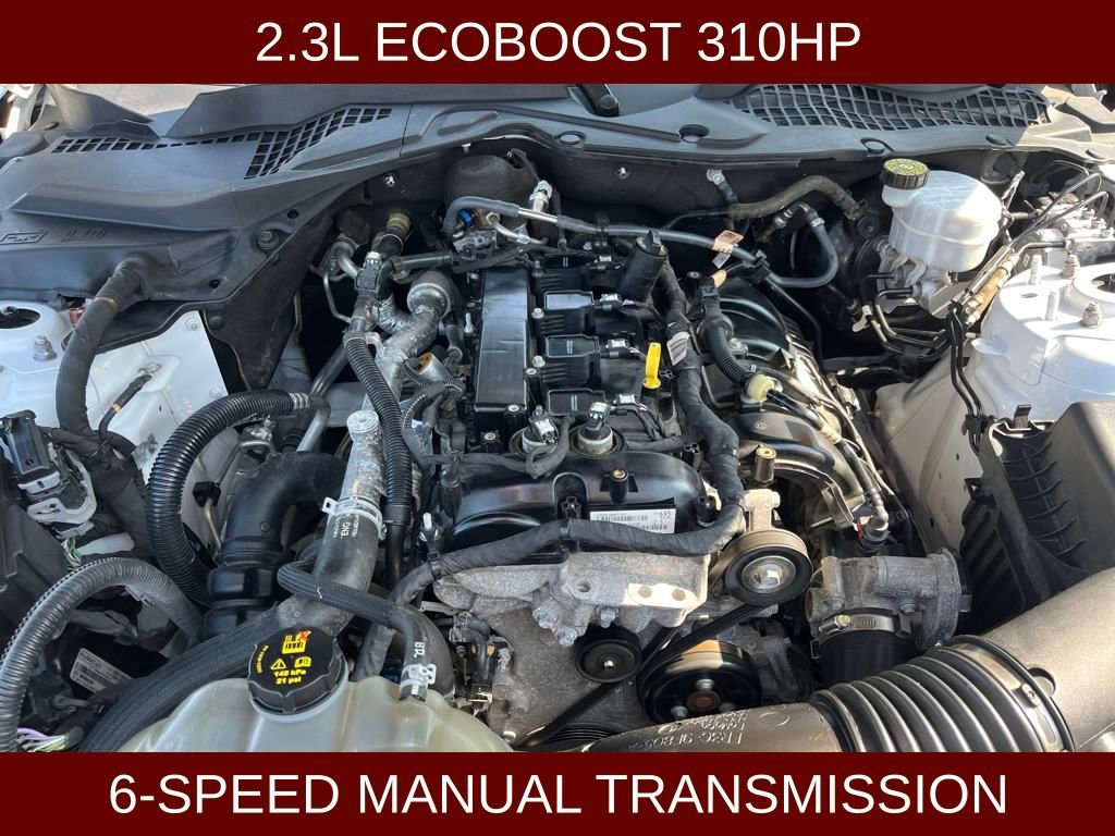 Certified 2022 Ford Mustang Coupe w/ Black Accent Package image 5