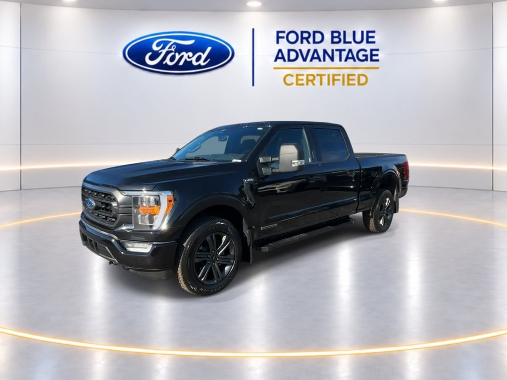 Certified 2023 Ford F150 XLT w/ Equipment Group 302A High AWD/4WD image 5