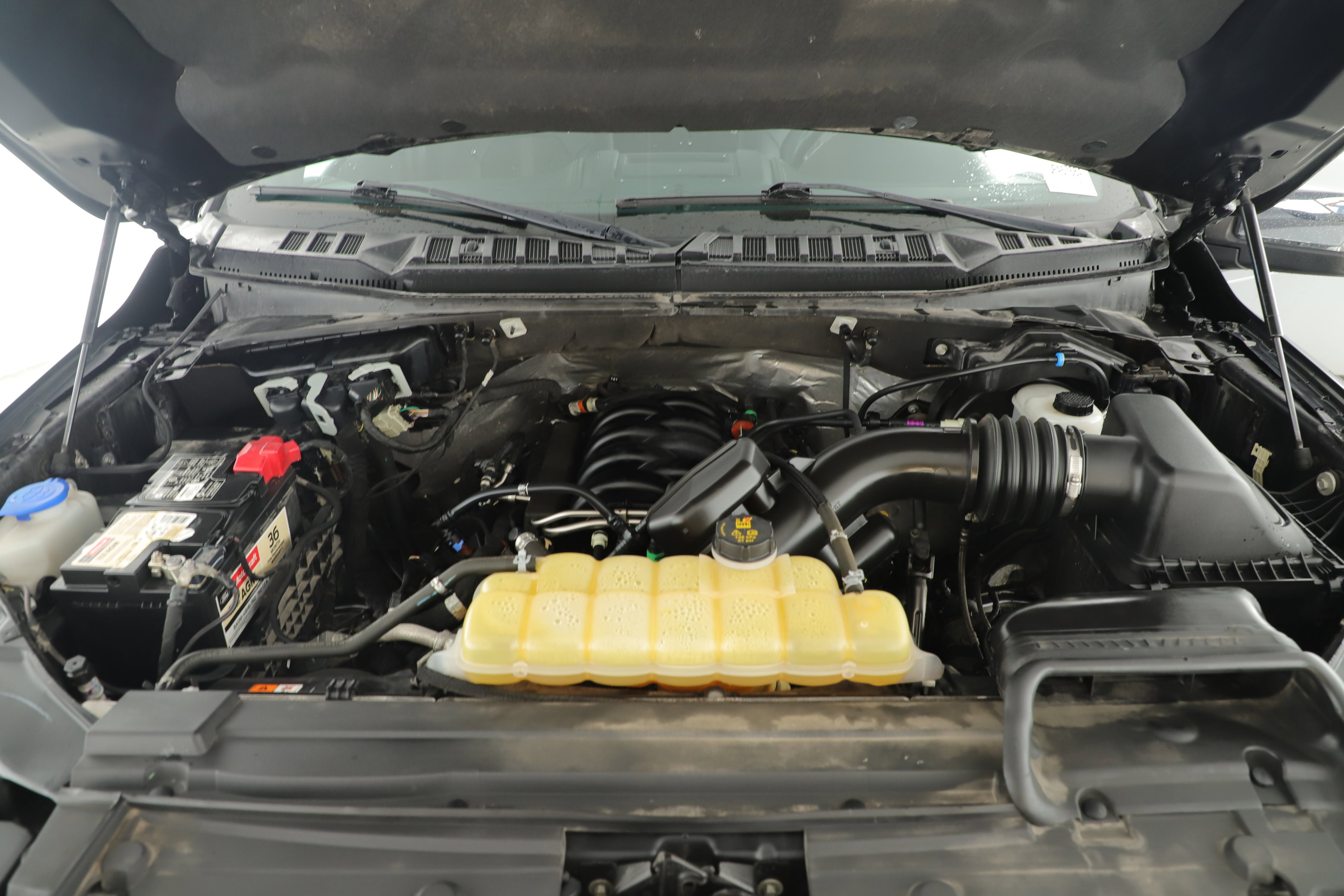 Certified 2020 Ford F150 Platinum w/ Equipment Group 701A Luxury image 4