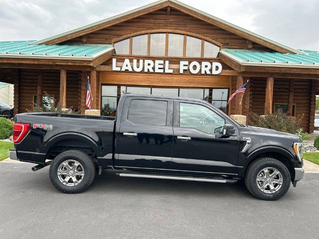 Certified 2023 Ford F150 XLT w/ Equipment Group 302A High AWD/4WD image 1