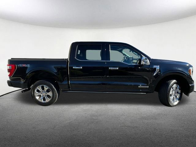Certified 2023 Ford F150 Platinum w/ Equipment Group 701A High image 6