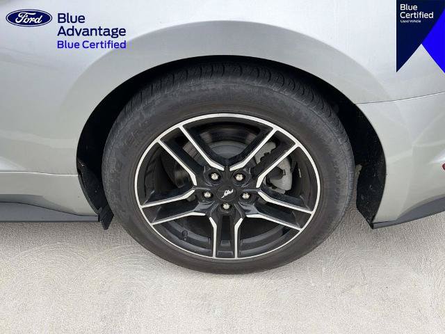 Certified 2021 Ford Mustang Premium RWD image 18