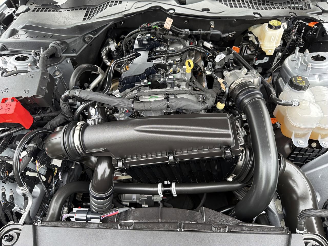 Certified 2025 Ford Mustang Coupe RWD image 10