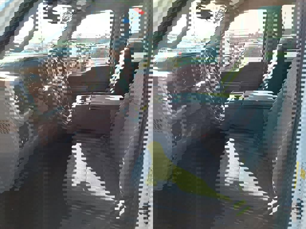 Certified 2024 Ford F350 XLT w/ FX4 Off-Road Package image 11