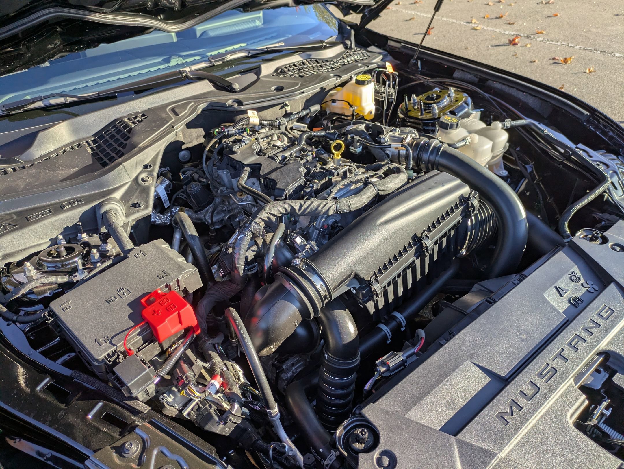 Certified 2025 Ford Mustang Coupe w/ Mustang Nite Pony Package image 35