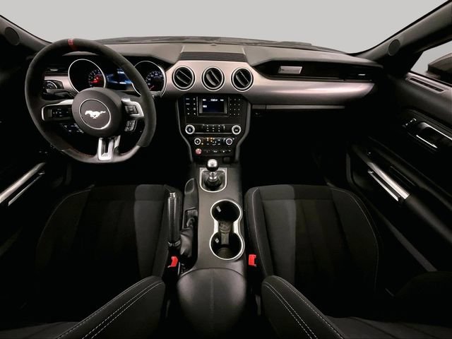 Certified 2019 Ford Mustang GT RWD image 14