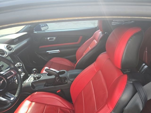 Certified 2021 Ford Mustang GT Premium w/ Equipment Group 401A RWD image 8