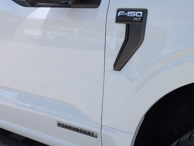 Certified 2023 Ford F150 XLT w/ Equipment Group 302A High AWD/4WD image 14