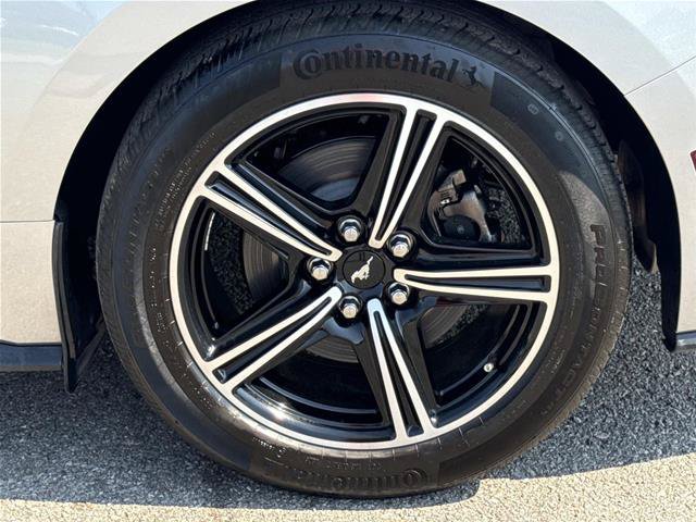 Certified 2025 Ford Mustang Premium RWD image 9