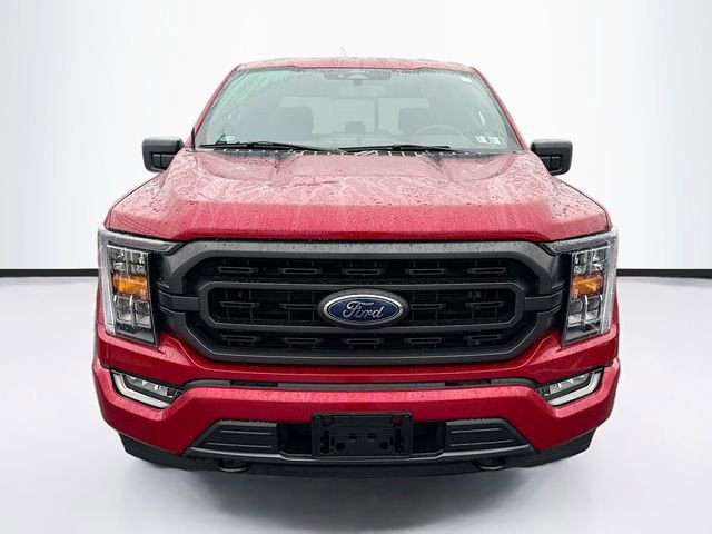 Certified 2022 Ford F150 XLT w/ Equipment Group 302A High image 8