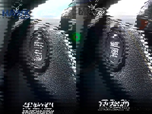 Certified 2020 Ford Escape SEL image 17