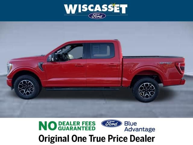 Certified 2023 Ford F150 XLT w/ Equipment Group 302A High image 2