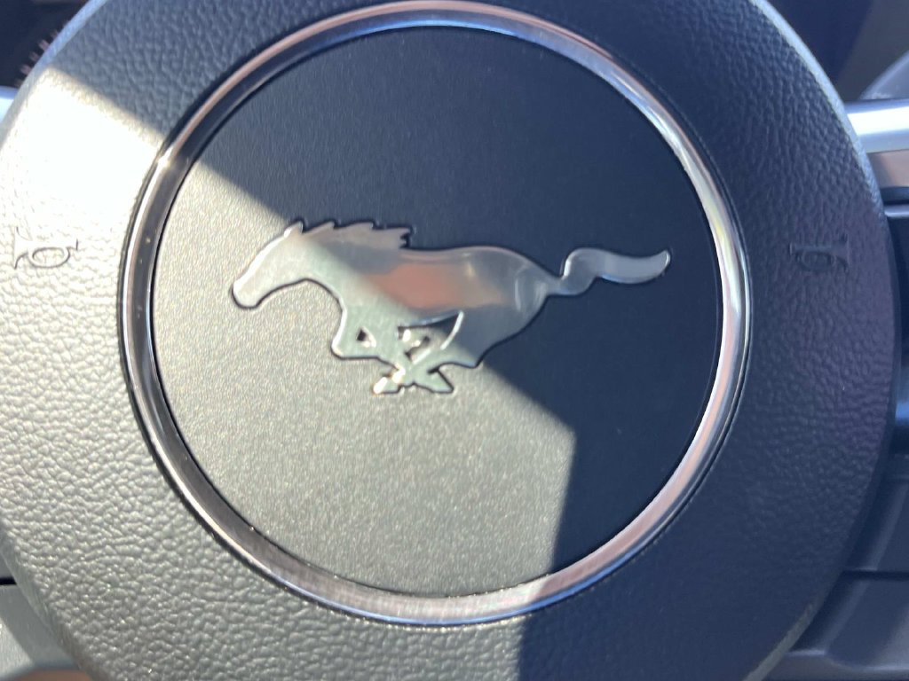 Certified 2022 Ford Mustang GT w/ Equipment Group 301A RWD image 33
