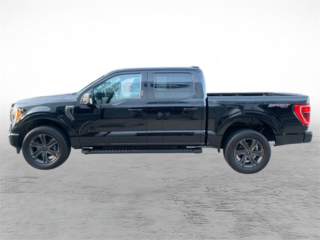 Certified 2023 Ford F150 XLT w/ Equipment Group 302A High AWD/4WD image 5