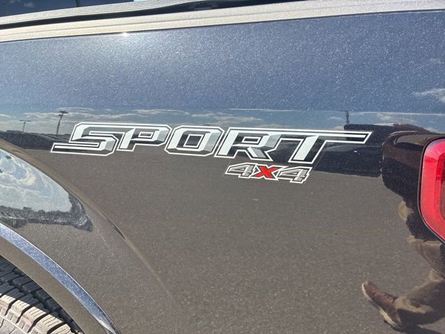 Certified 2019 Ford F150 XLT w/ Equipment Group 302A Luxury AWD/4WD image 5
