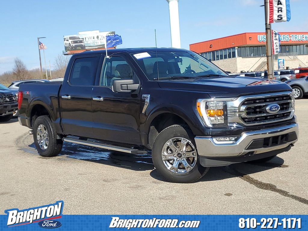 Certified 2023 Ford F150 XLT w/ Equipment Group 302A High AWD/4WD image 1