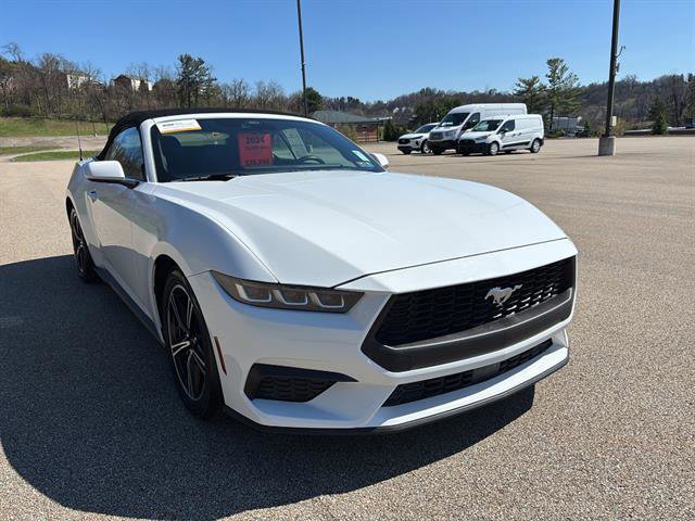 Certified 2024 Ford Mustang Premium image 6