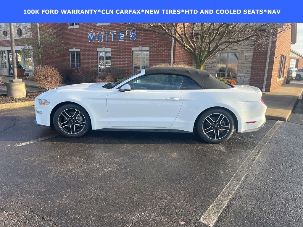 Certified 2022 Ford Mustang Premium w/ Equipment Group 201A image 3