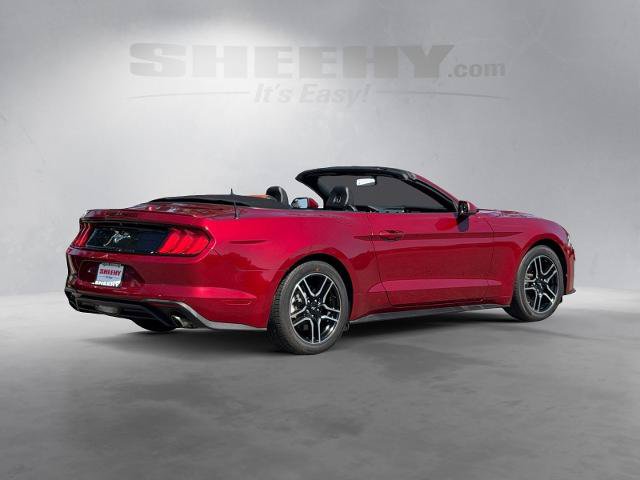 Certified 2019 Ford Mustang Premium RWD image 14
