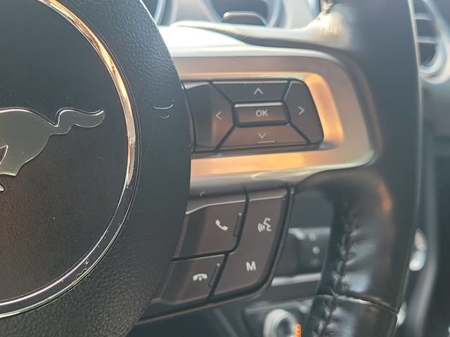 Certified 2023 Ford Mustang GT w/ Mustang Nite Pony Package RWD image 19