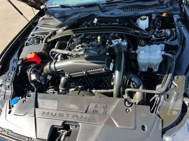 Certified 2026 Ford Mustang Premium RWD image 13
