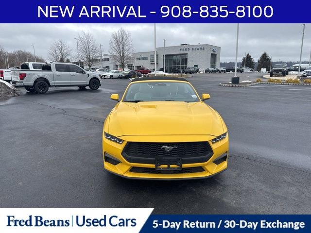 Certified 2024 Ford Mustang Premium image 2