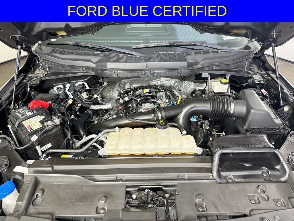 Certified 2024 Ford F150 STX w/ STX Black Appearance Package RWD image 32