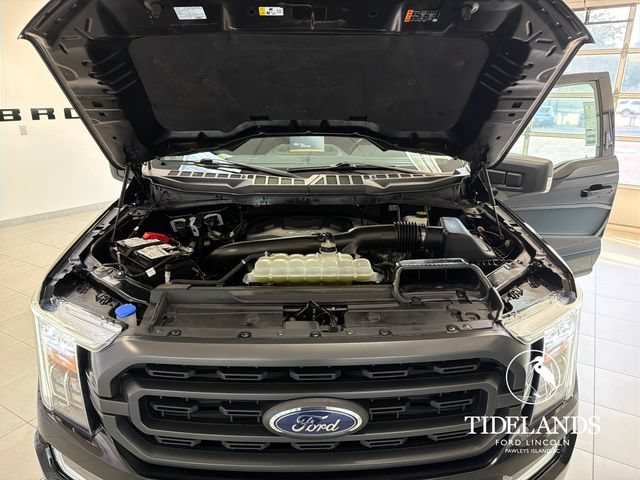 Certified 2023 Ford F150 XLT w/ Equipment Group 302A High AWD/4WD image 28
