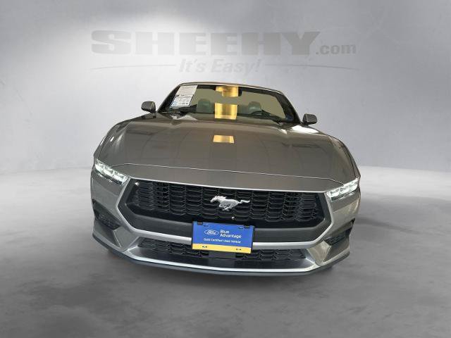 Certified 2024 Ford Mustang Premium RWD image 16
