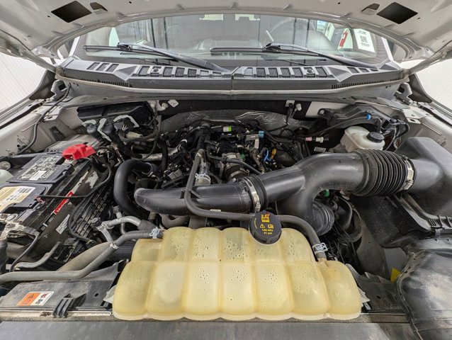 Certified 2019 Ford F150 XL w/ Equipment Group 101A Mid image 11