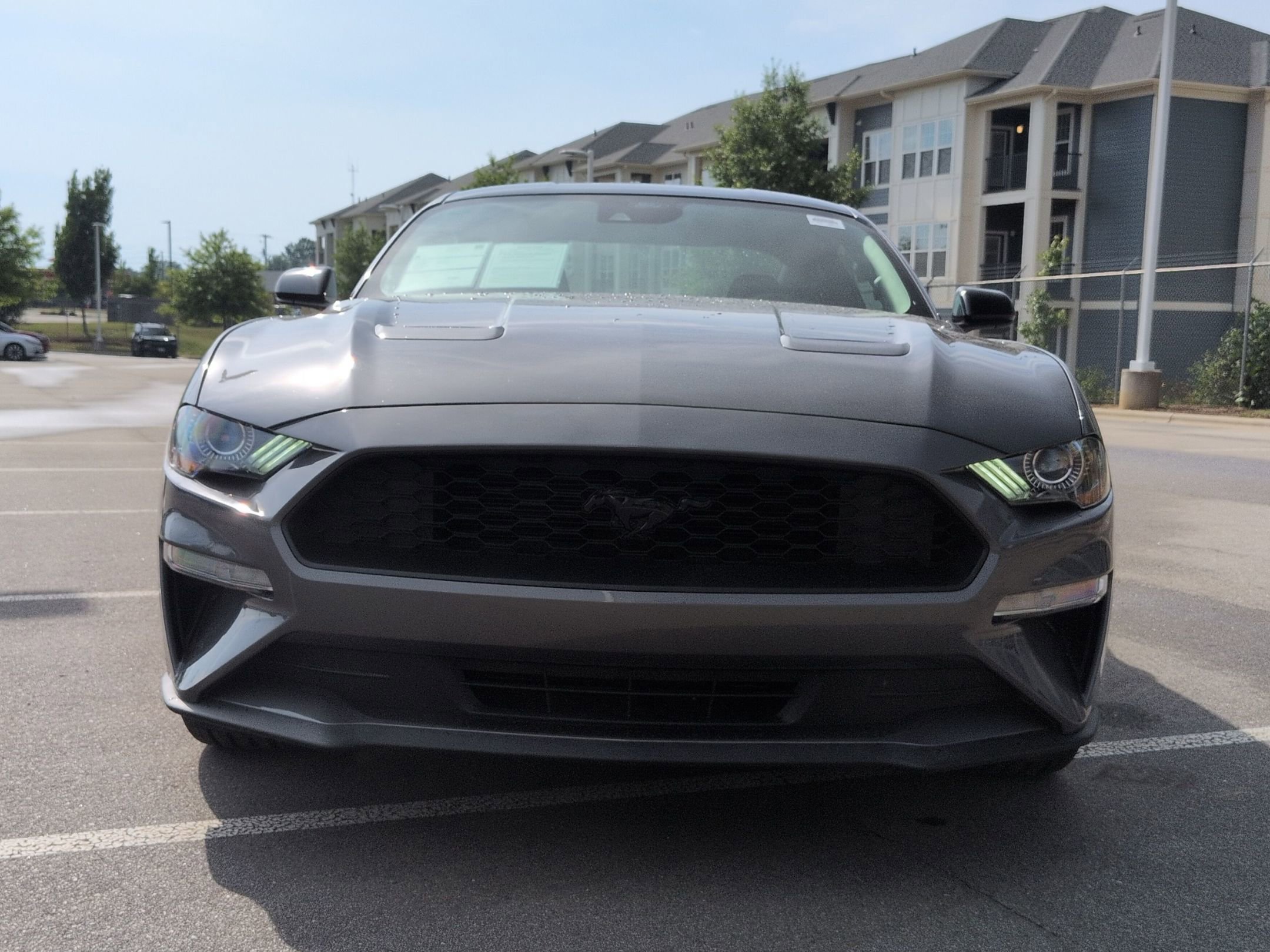 Certified 2023 Ford Mustang Coupe w/ Equipment Group 101A RWD image 9