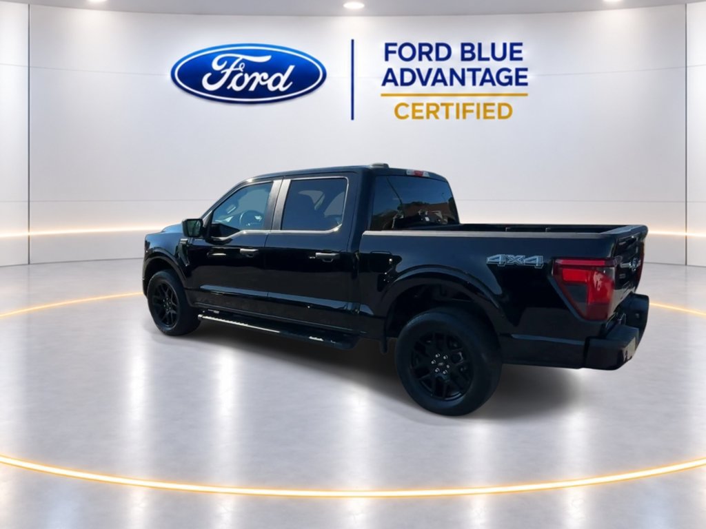 Certified 2025 Ford F150 STX w/ STX Black Appearance Package AWD/4WD image 7