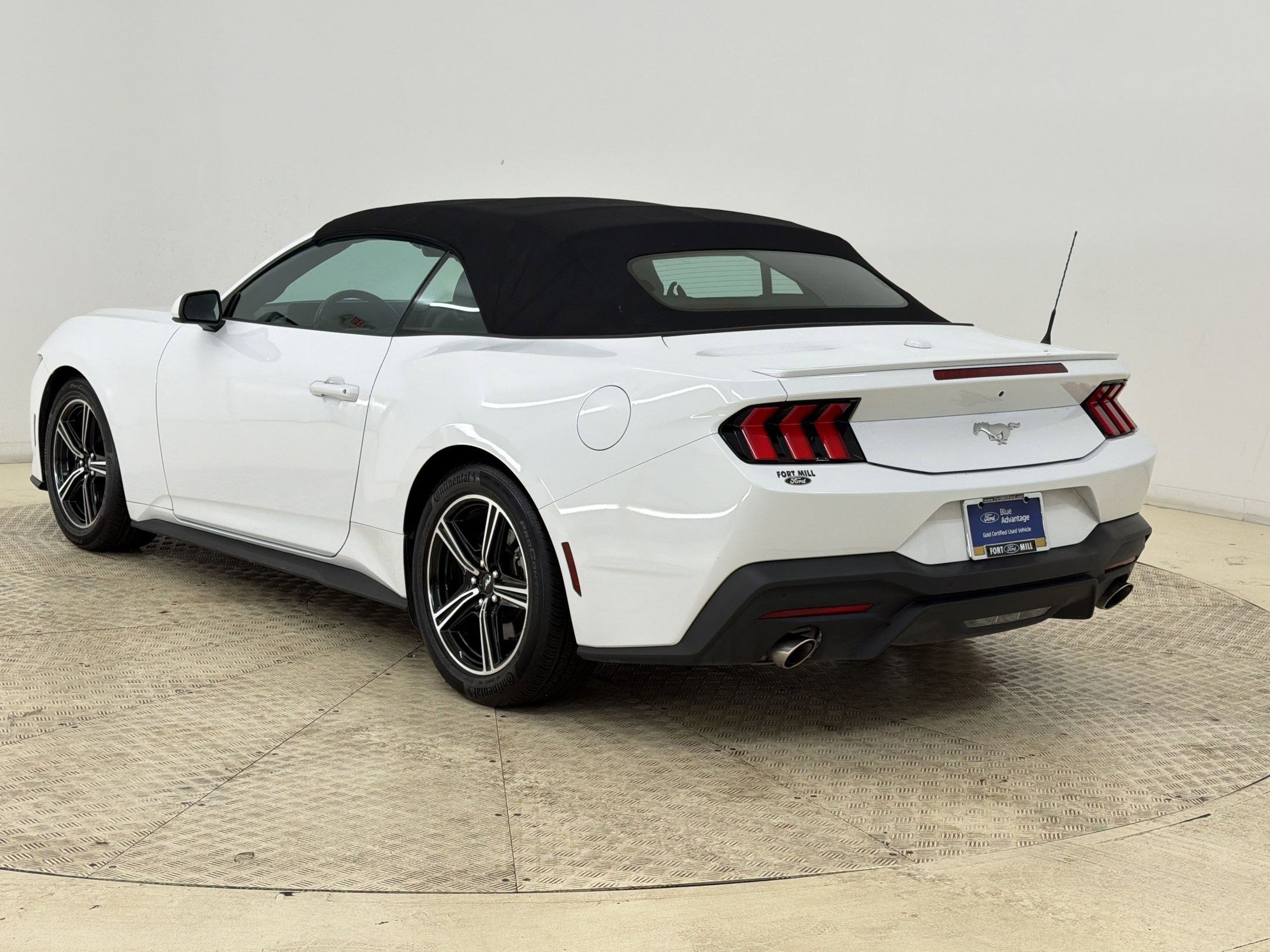 Certified 2025 Ford Mustang Premium RWD image 3