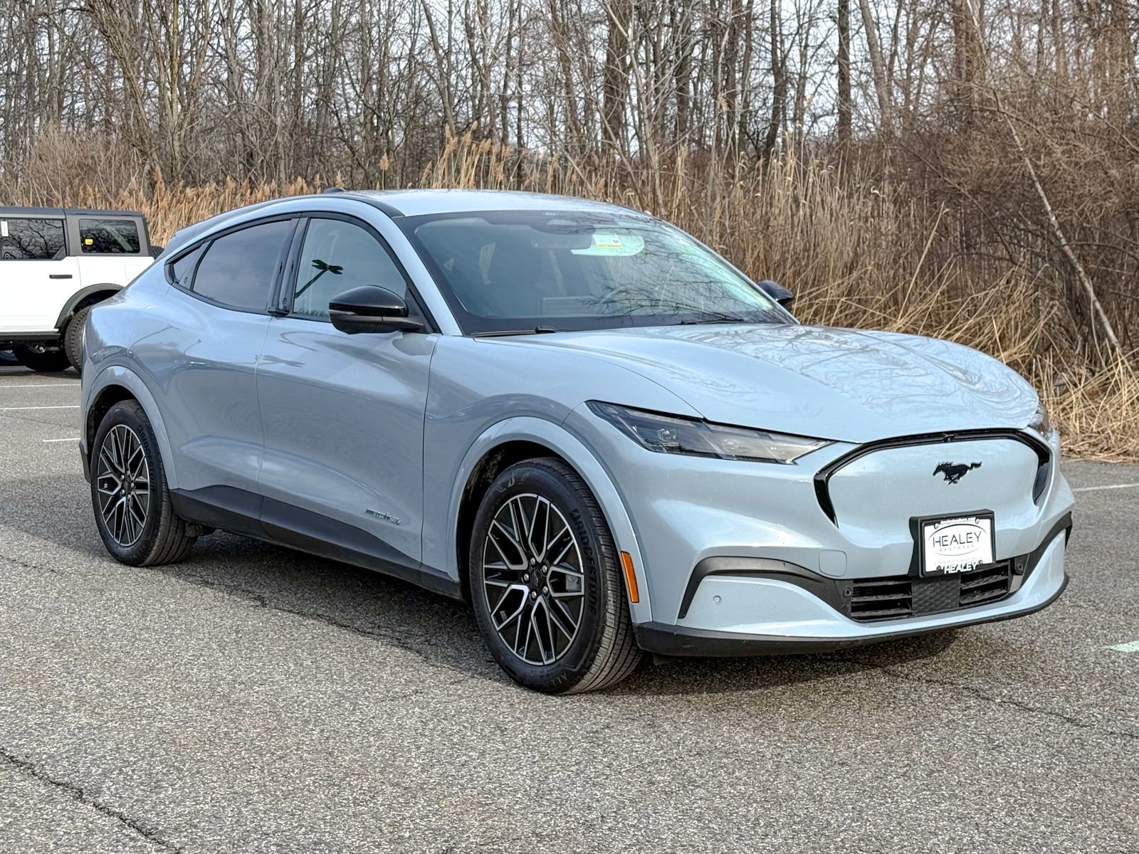 Certified 2025 Ford Mustang Mach-E Premium image 1