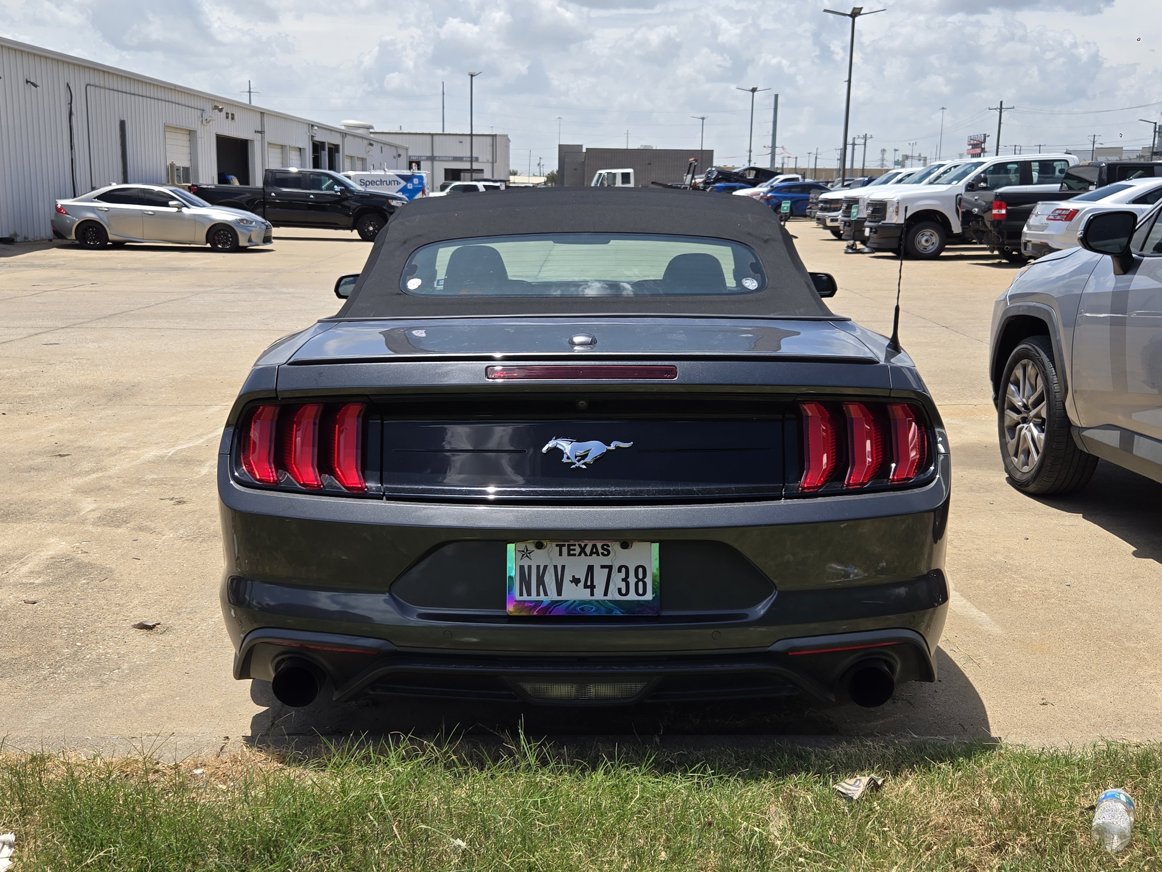 Certified 2019 Ford Mustang Premium w/ Equipment Group 201A RWD image 5