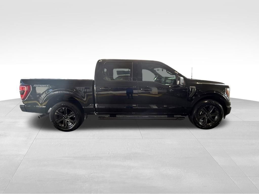 Certified 2023 Ford F150 XLT w/ Equipment Group 302A High RWD video 3