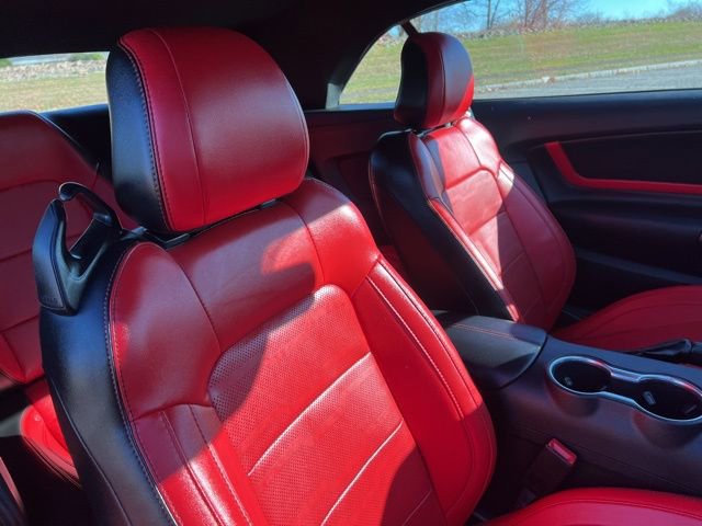 Certified 2019 Ford Mustang Premium w/ Equipment Group 201A image 41