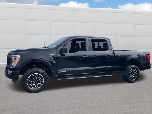 Certified 2023 Ford F150 XLT w/ Equipment Group 302A High AWD/4WD image 2