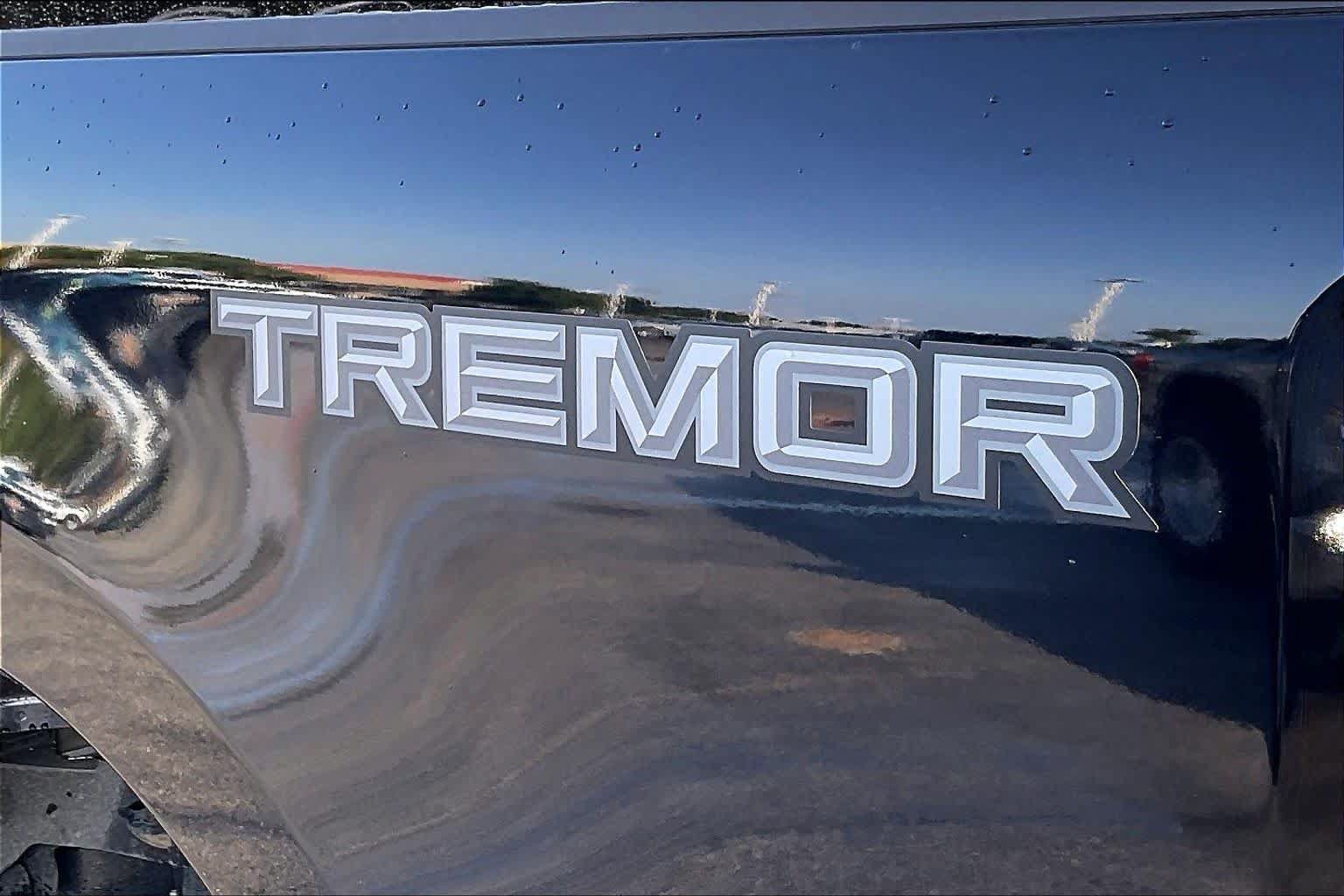Certified 2025 Ford F250 XLT w/ Tremor Off-Road Package AWD/4WD image 10