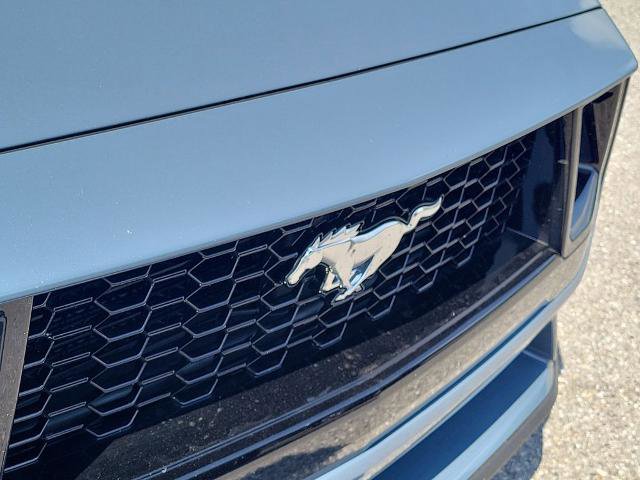 Certified 2025 Ford Mustang GT Premium RWD image 8