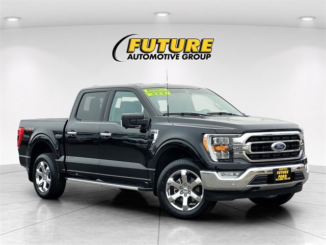 Certified 2023 Ford F150 XLT w/ Equipment Group 302A High image 7