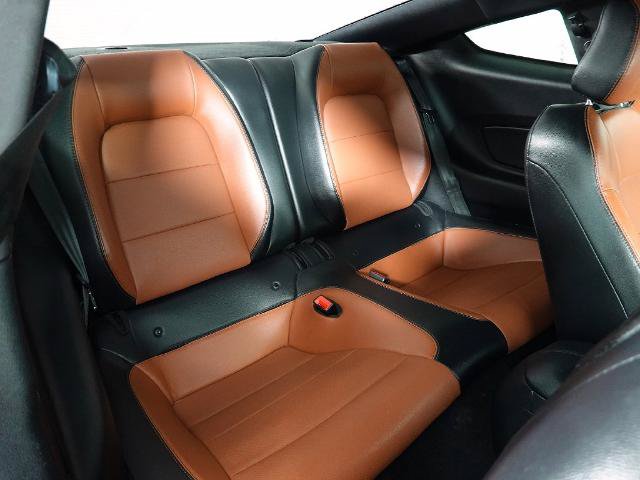 Certified 2019 Ford Mustang Premium w/ Pony Package RWD image 16