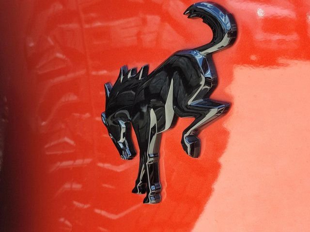 Certified 2022 Ford Bronco Wildtrak image 12