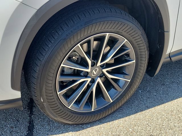 Used 2024 Lexus NX 350 AWD w/ Cold Area Package image 9