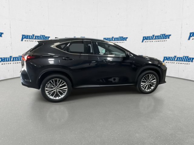 Used 2023 Lexus NX 350h AWD image 12