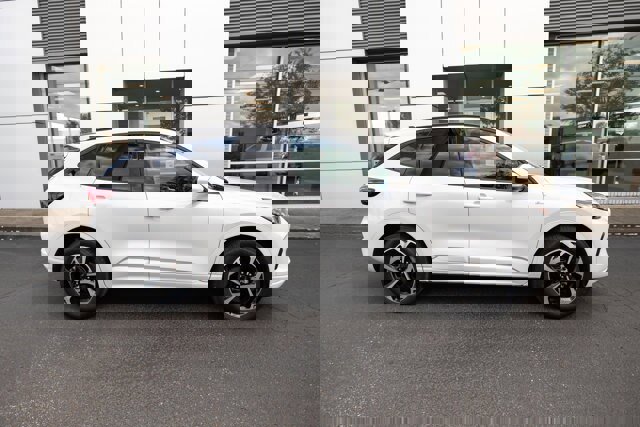 Certified 2025 Ford Escape ST-Line Elite image 5