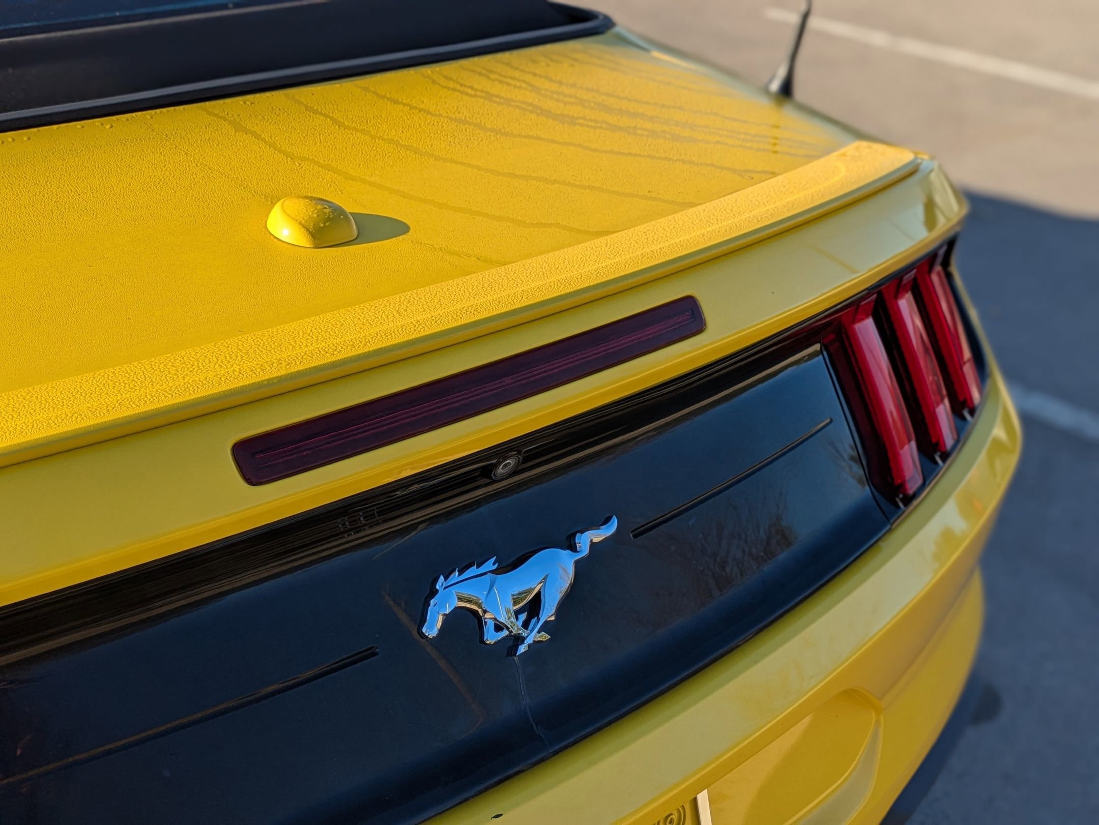 Certified 2018 Ford Mustang Premium w/ Equipment Group 201A image 30